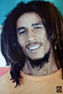 Bob Marley Freeform Locs
