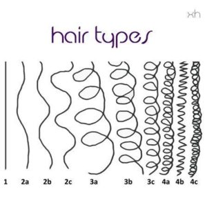 hair typing chart