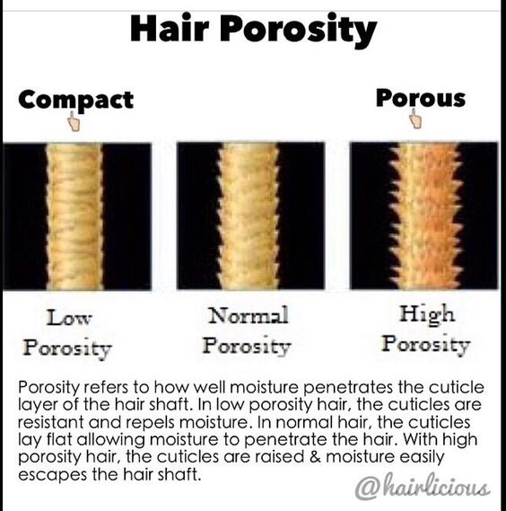What Is Porosity Accurate Hair Porosity Tests and Much More