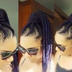 Colorful Fishbone Braids High Ponytail