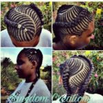 Zig Zag Fishbone Braids