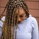 Golden Brown Triangle Box Braids