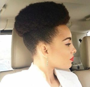 Afro Puff Natural Hairstyle