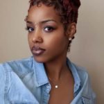 Burgundy Box Braids Updo