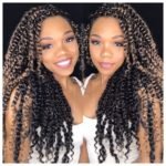 Reverse Ombre Passion Twists
