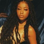 long middle part butterfly locs