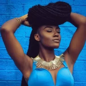 crown yarn braids