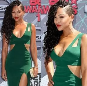 goddess locs with shaved sidegoddess locs with shaved side