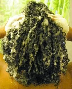 coconut oil hair