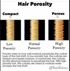 hair porosity test