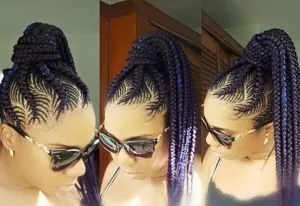Colorful Fishbone Braids High Ponytail