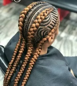 Fishbone Braids Hairstyles