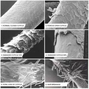 What Does A Good Detangler Do