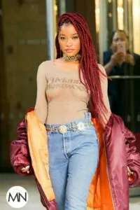 Pencil Sized Burgundy Box Braids