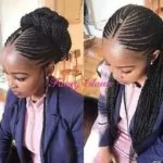 Fulani Braids Updo