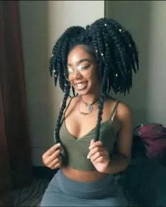 Twist Braids Pigtails