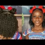 Two Strand Twist Out With Double Buns
