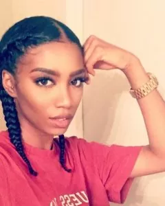 French Braids With a Twist