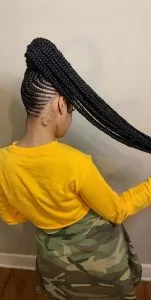 Braided High Ponytail