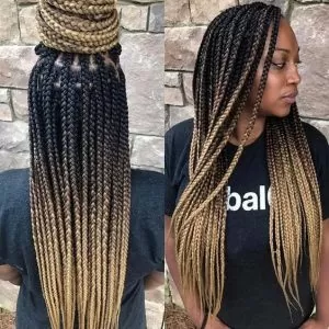 Light Brown Ombre Box Braids
