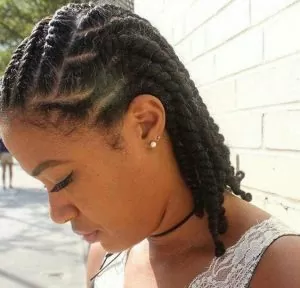 Medium Sized Flat Twists