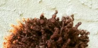 Reddish Brown Finger Coils