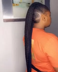 Micro Mohawk Braids