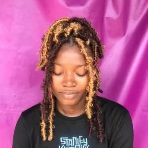 honey and brown butterfly locs