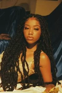 long middle part butterfly locs